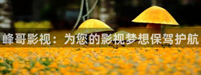合肥保利电影院：峰哥影视：为您的影视梦想保驾护航