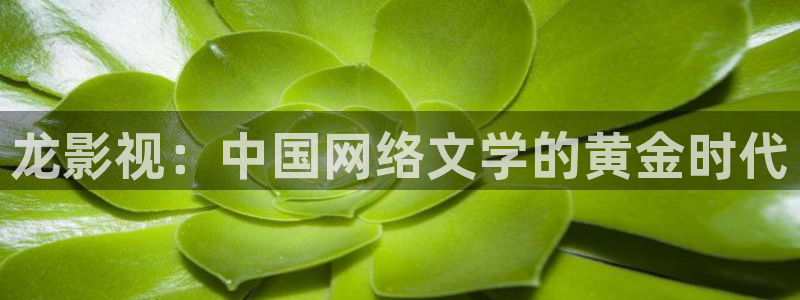 保利国际电影院今日电影：龙影视：中国网络文学的黄金时代