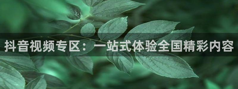 保利电影院官网：抖音视频专区：一站式体验全国精彩内容