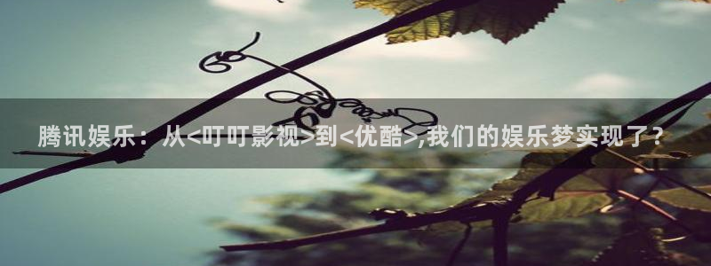 保利影业有限公司：腾讯娱乐：从<叮叮影视>到<优酷>,我们的娱乐梦实现了？