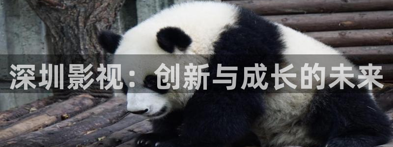 重庆保利万和影院：深圳影视：创新与成长的未来