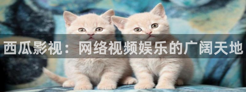 保利影城购票：西瓜影视：网络视频娱乐的广阔天地